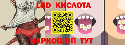 ECSTASY Новодвинск